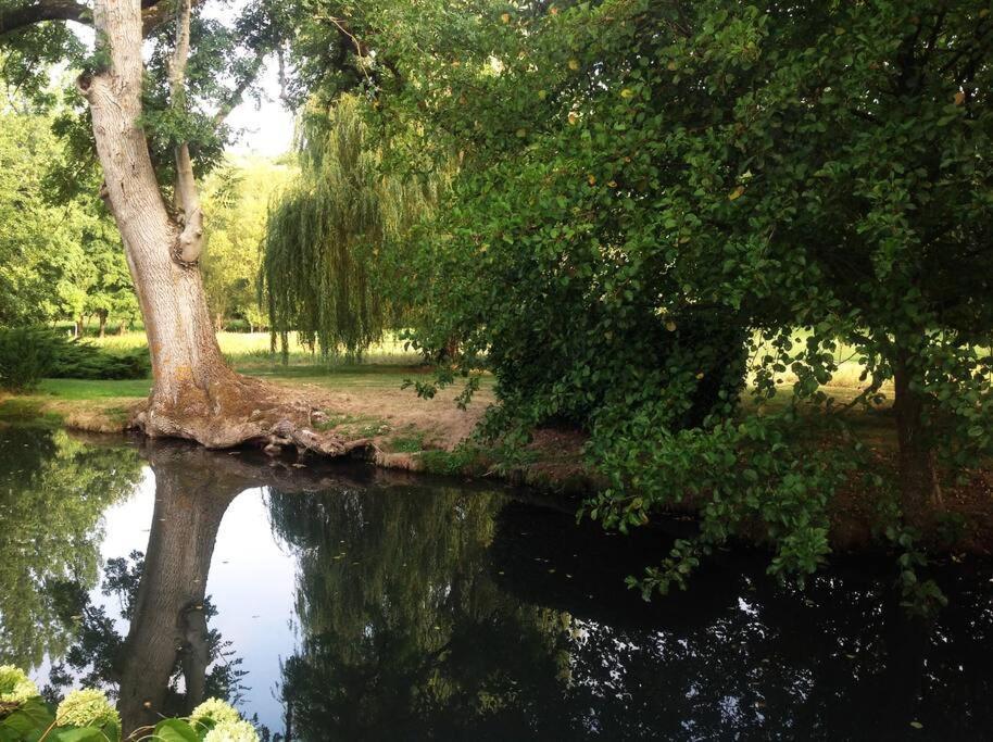 Le Foulon - Moulin De Charme - 1 Heure 30 De Paris Villa Saint-Hilaire-les-Andresis Eksteriør billede