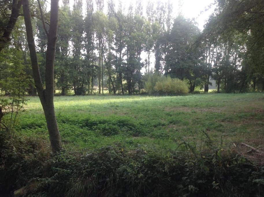 Le Foulon - Moulin De Charme - 1 Heure 30 De Paris Villa Saint-Hilaire-les-Andresis Eksteriør billede