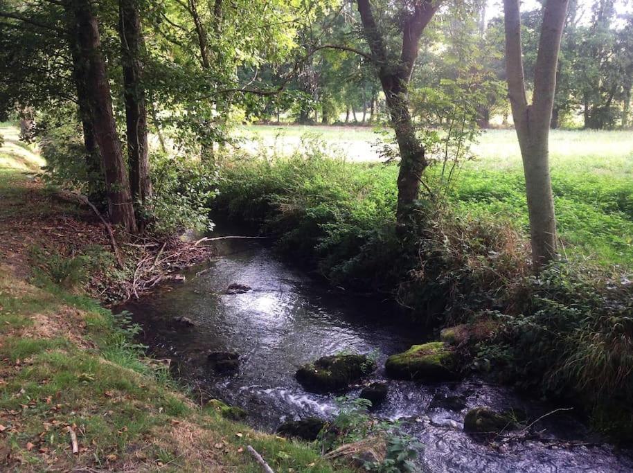 Le Foulon - Moulin De Charme - 1 Heure 30 De Paris Villa Saint-Hilaire-les-Andresis Eksteriør billede
